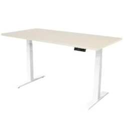 Elektrisch Verstelbaar Bureau - 160x80 Cm - Dual Motor - Wit / Licht Eiken