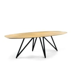 Miami Eettafel Deens Ovaal Mangohout 240x110 Cm 240x110x76 Cm Mangohout